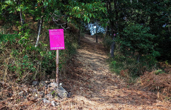 Ktima Bellou - Foto 22