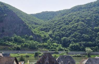 Rebhaus Adams - Foto 3