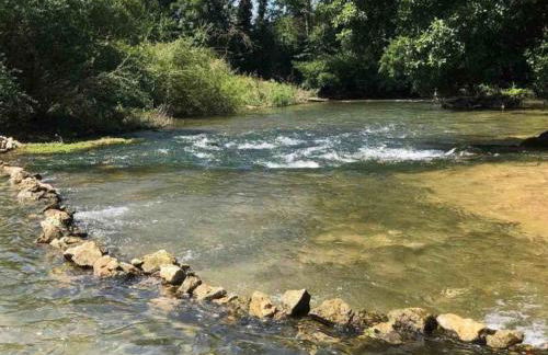 La maison papillon - Foto 21