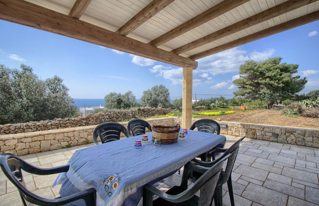 Salvia Lovely Seaview - Foto 12