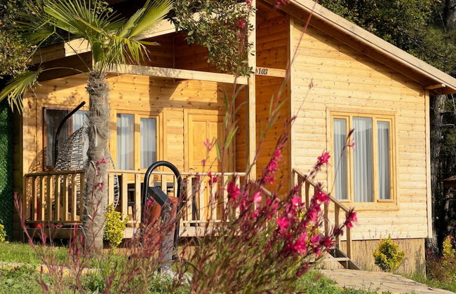 Koru Aura Mengen - Photo 8