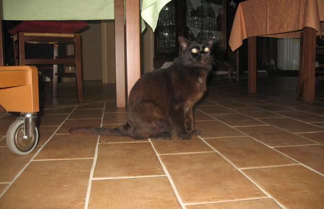 Il Balcone Sul Monferrato - Foto 40