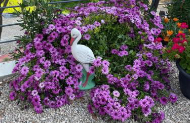 Villa Les Chants Vallonnés - Foto 57