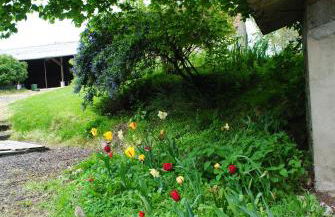 Gites Les Rainettes - Foto 12