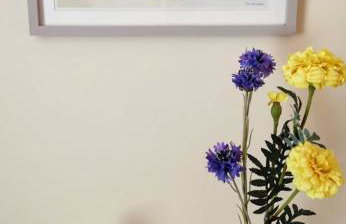 The Nook @ Rowan Tree Cottage - Foto 23