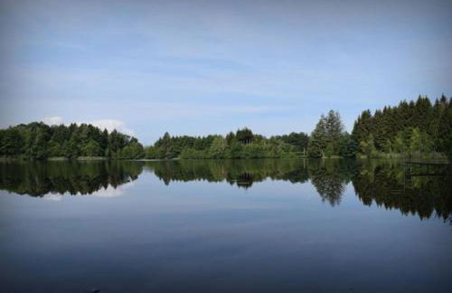 Gîte du Mont Gérard - Foto 11