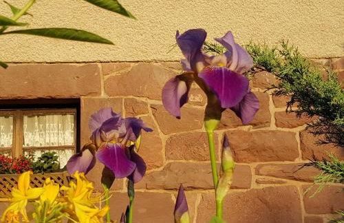 Ferienhaus Am Kirchberg - Foto 44