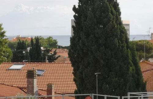 Appartamento Sabina Rosignano Castiglioncello - Foto 19