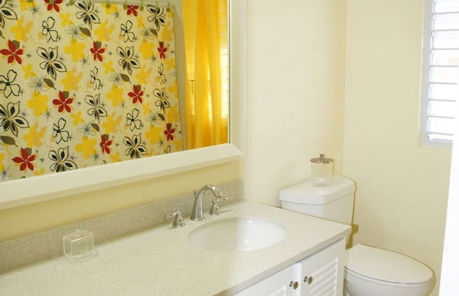 Ocho Rios Villa at Coolshade VI - Photo 17