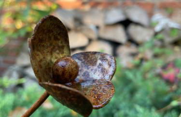 Loh Apartments - Wald.Natur.Ruhe. - Foto 17