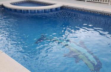 BONITAS VISTAS - Photo 29