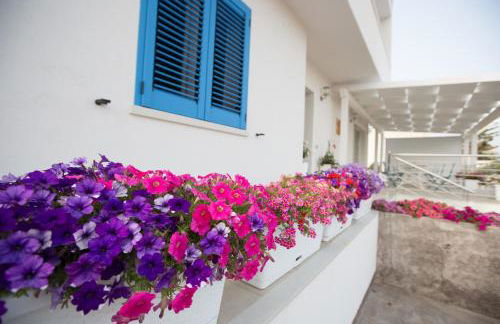 Villa Patrizia Selinunte - Foto 7