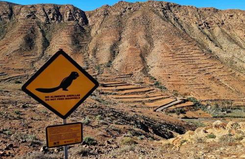 Spacieux Duplex Casa Maya Caleta de Fuste - Photo 69