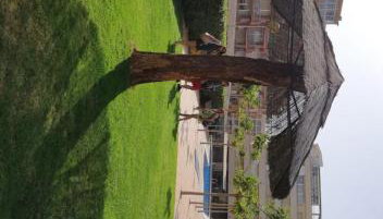 Apartamento Paradís Park - Piscina y Playa - Foto 4, Garden view