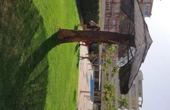 Apartamento Paradís Park - Piscina y Playa - Photo 4