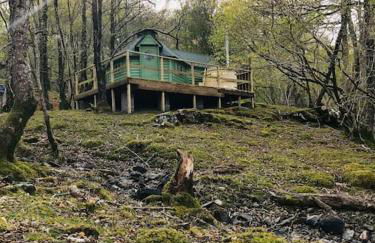 Tree Top Cabin with Private Hot Tub - Foto 1