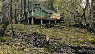 Tree Top Cabin with Private Hot Tub - Foto 1
