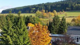 Fewos 4-Jahreszeiten - Foto 2