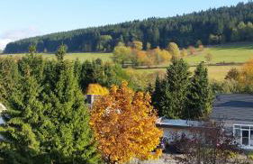 Fewos 4-Jahreszeiten - Foto 2