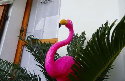 Casa Flamingo House - Photo 1
