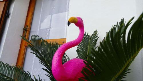 Casa Flamingo House - Photo 1