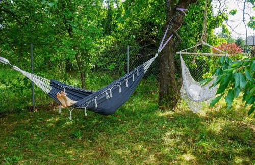 Karolówka Nad Osławą - Foto 13