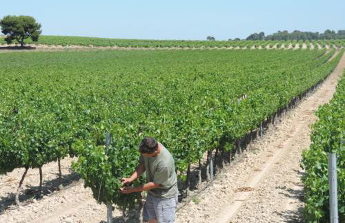 Gîtes Le "Val-Léa" - Foto 35