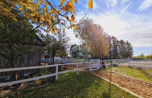 Ranczo Popowice - Foto 4