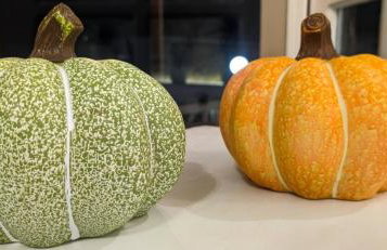 Knossos Sunrise - Foto 26