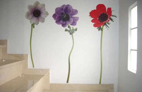 LA CASA AZUL de Anna - Foto 3