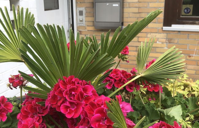 Ferienwohnung Dettum - Foto 55