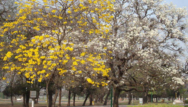 Tour panoramico di San Miguel de Tucumán - Foto 4