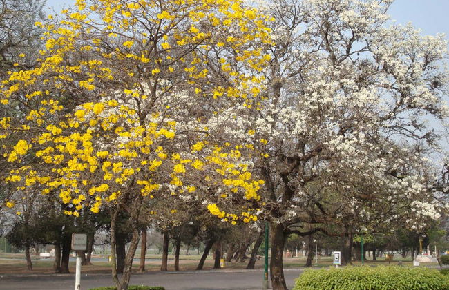 Tour panorámico por San Miguel de Tucumán - Foto 4