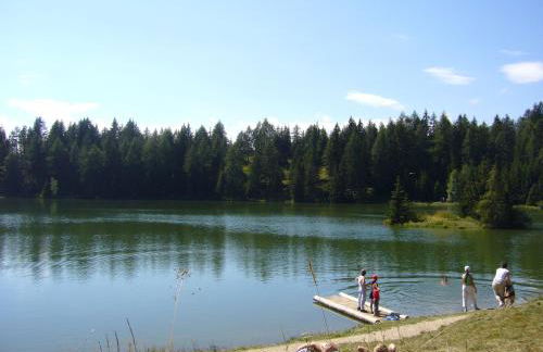 Apartment Panorama Val di Non - Foto 30