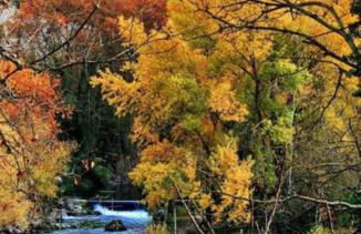 Les Dentelles du Ventoux - Gîte avec Piscine - Photo 40
