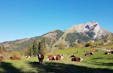 Chalet des joux - Foto 24
