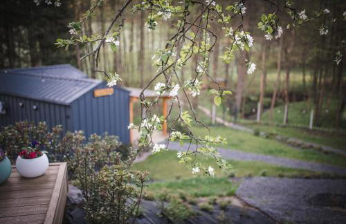 Domki pod Krakowem - Stare Sady - Photo 69