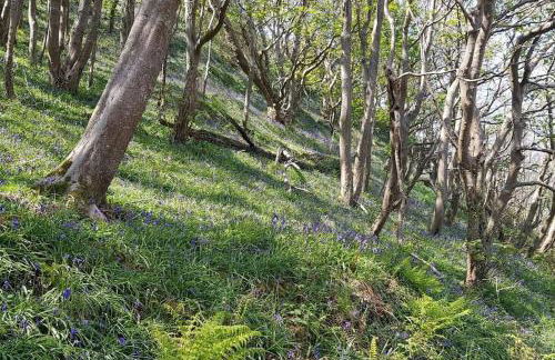 Rosie's place - Foto 15