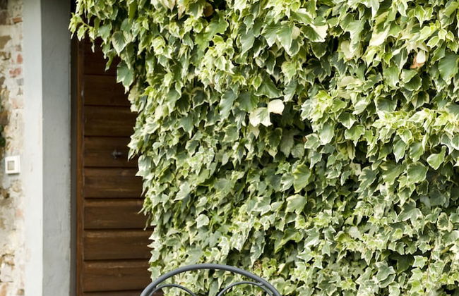 Agriturismo Fattoria Lavacchio - Foto 45