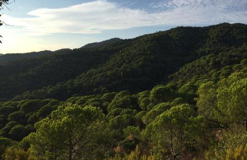 Can Cadiretes - Photo 53