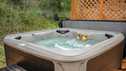 Creekside Cabin w Hot Tub, Fire Pit, Grill, WiFi! - Foto 3