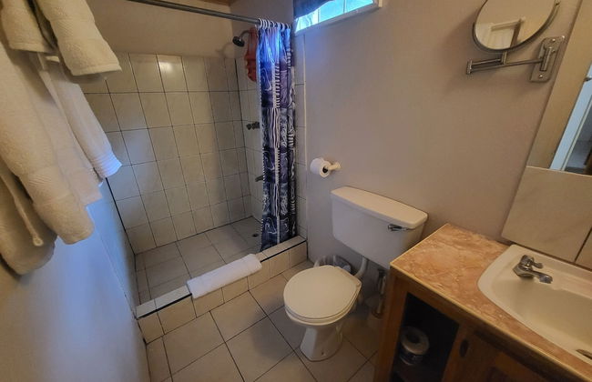 Birdie's Nest - Foto 20