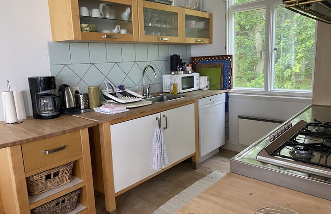 Skaerven Beachfront Condos and Cottage - Foto 58