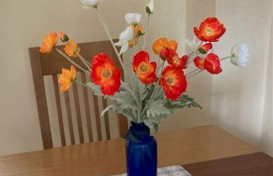 Home from Home in our Self-Contained Annexe - Foto 9