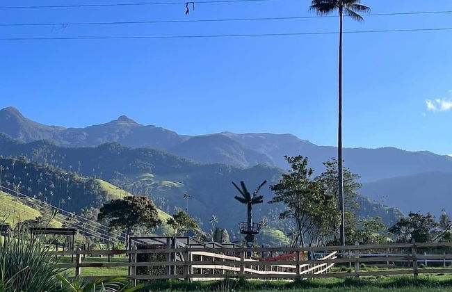 Bosques de Cocora Donde Juan B - Photo 17