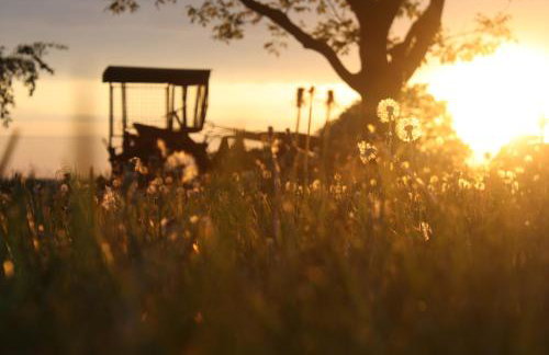 Forsthof Niendorf - Foto 3