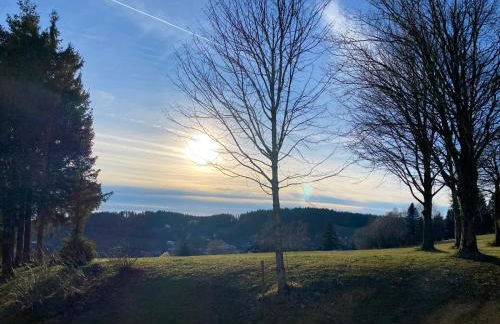 Ferienwohnung Schönblick inklusive Hallenbad, Sauna, Außenpool & Fitnessstudio, familienfreundlich ausgestattet - Foto 27