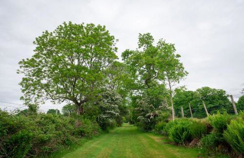 Steading Cottage - 50m from the beach - Foto 28