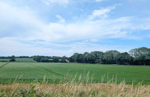 Studio Cottage - Rogate - Foto 13