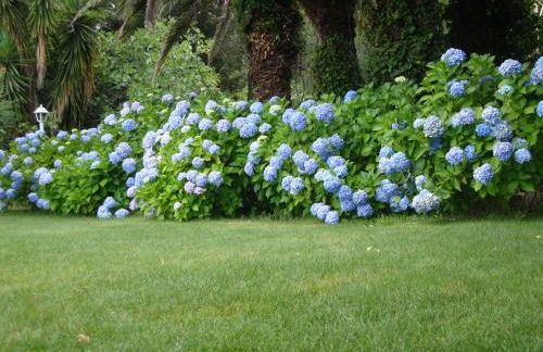 Villa Iolanda-Sive Natura Wine&House - Foto 27